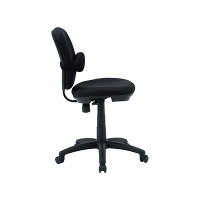 サンワサプライ　チェア用ランバーサポート　SNC-LUMBAR　（直送品）