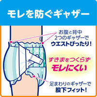 リフレ　大人用紙おむつ　簡単テープ止めタイプ　S　1箱（102枚：34枚入Ｘ3パック）　リブドゥコーポレーション