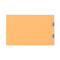 プラス　フラットファイル樹脂製とじ具　A4ヨコ　イエロー　No.022N　100冊