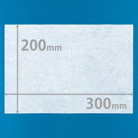 【おしりふき】【大人用/流せない】おしりふきタオル 1箱（1800枚：60枚入×30パック）　昭和紙工 オリジナル