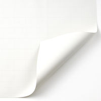マルアイ　方眼模造紙　プルタイプ　白　マ-AS21　1箱（20枚入）
