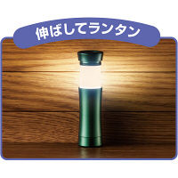 東芝 LEDランタン付ライト KFL-403L（G）