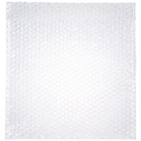 エアーキャップ（R）封筒袋 気泡緩衝材 320×300+40mm 1パック（100枚入） 酒井化学工業