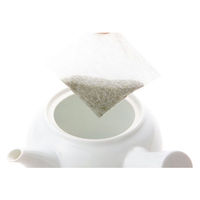 大井川茶園　お手軽急須用緑茶ティーバッグ　1袋（50バッグ入）