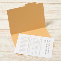 プラス　個別フォルダー　B5　イエロー　FL-067IF　87447　1箱（100枚：10枚入×10袋）