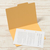 プラス　個別フォルダー　A5　イエロー　FL-066IF　87457　1箱（100枚：10枚入×10袋）