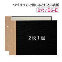 プラス　とじ込表紙　B5ヨコ　192×267mm　2穴　FL-005TU　77216　1袋（10組入）