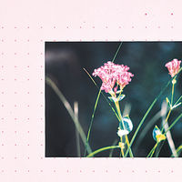 キングジム カラーベースポケット A4タテ 業務用パック 1セット（50枚：10枚入×5パック） 青 103Pアオ