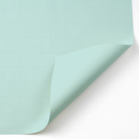 マルアイ　方眼模造紙　プルタイプ　ブルー（あさぎ）　マ-AS21B　1箱（20枚入）