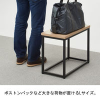 アスプルンド　手荷物台　Lサイズ　幅600×奥行300×高さ450mm　1台