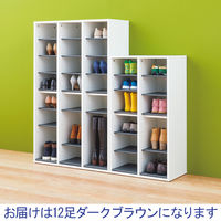 アスプルンド 樹脂棚板シューズラック 12足用 ダークブラウン  幅575×奥行350×高さ1018mm 1台(2梱包) 靴箱 2列 収納