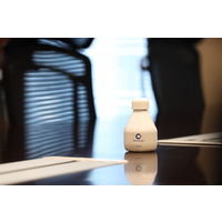 クレベリンpro 置き型 50m2用 大幸薬品