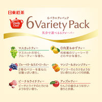 日東紅茶 デイリークラブ 6バラエティパック 1箱（12バッグ入）