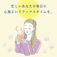 【水出し可】伊藤園 リラックスジャスミンティー ティーバッグ 1袋（30バッグ入） ジャスミン茶