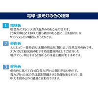 パナソニック　三波長形蛍光ランプ　40W形　グロースタータ形　昼光色　FL40SSEXD37　10K　1箱（10本入）