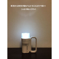 パナソニック 電池がどっちかライトホワイト BF-BM01P-W