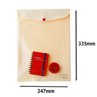 ビニールブリーフケース　A4　クリア　透明　クリアケース　デルフォニックス