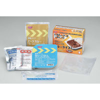 【非常食】 ホリカフーズ レスキューフーズ RE 一食ボックス カレーライス 5年6か月保存 1セット