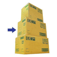 日本サニパック 業務用 ポリ袋 白半透明 厚口 70L N-7H（360枚:30枚入×12）