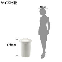 リス 丸ペール 45L ゴミ箱 ライトグレー 1個 シンプル ダストボックス  丸型ペール フタ式 日本製 直径461×高さ578mm