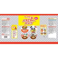 サッポロ一番ミニどんぶりバラエティーパック　1箱（24食：4食入×6パック）　サンヨー食品
