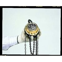 エスコ 150kgx7.0m チェーンブロック EA987-7 1台（直送品）