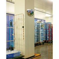 エスコ 665x340mm 曲面ミラー(壁面取付型・アクリル製) EA724ZK-6 1個（直送品）