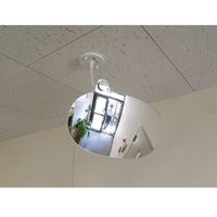 エスコ 350x230mm スーパーオーバル型ミラー(ビス式) EA724ZK-36 1個（直送品）