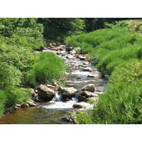 【保存水】 ケイ・エフ・ジー 純天然アルカリ保存水 7年保存 2L 332919 1箱（6本入）