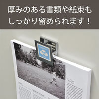 マグエックス　マグネットクリップ　大