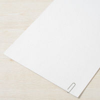 プラス　ゼムクリップ　大型1　大（長径28ｍｍ）　CP-309　1袋（100本入）