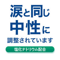 ボシュロム・ジャパン　セーラインソリューション　500mL×2本　113976　1箱（2本入）