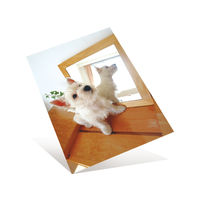 プラス　超きれいな光沢紙　A4　IT-221GC　1袋（100枚入）