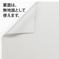 日本ノート　方眼模造紙　プルタイプ　白　XP10W　1箱（10枚入）