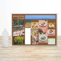 プラス カードケース ハード B2 PC-212C 1枚