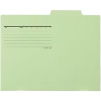 プラス 個別フォルダー A4E グリーン FL-082IF 1パック