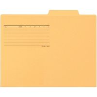 プラス 個別フォルダー A4E イエロー FL-082IF 1パック