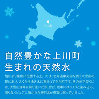 【軟水】ロジネットジャパン 北海道大雪山ゆきのみず 550ml 1箱（24本入）