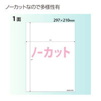 コクヨ カラーレーザー用耐水紙ラベル LBP-WP1900N 1袋(100枚入)
