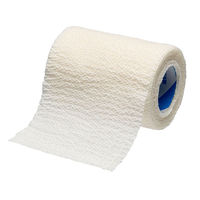 ニチバン つきつきホータイ Lサイズ 1巻 THL