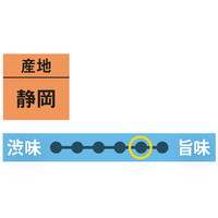 朝日茶業　静岡茶　深蒸し緑茶　1袋（100g）