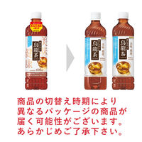 【機能性表示食品】サントリー烏龍茶OTPP 600ml 1セット（6本）