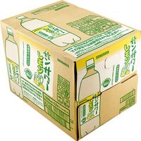 【アウトレット】日本サンガリア サンガリア サンサワー レモン 1000ml 1箱（12本入）