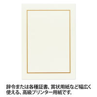 オキナ OA対応辞令・賞状用紙 A4 210×297ミリ SZA4 1セット（100枚：10枚入×10袋）