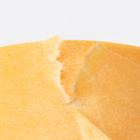 【マスキングテープ】「現場のチカラ」マスキングテープ 24mm 1パック（5巻入） カモ井加工紙  オリジナル