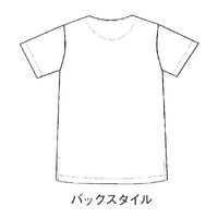 ディーフェイズ スクラブ DS2001 1枚　スクラブ（直送品）