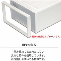 【引き出し収納】 天馬 フィッツケース（ロング） 4904746302281 カプチーノ ベージュ 1個