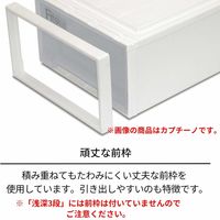 【引き出し収納】 天馬 フィッツケースクローゼットMー30 4904746299789 カプチーノ ベージュ 1個
