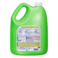 ワイドハイターEXパワー 業務用 4.5L 1箱（1個×4） 衣料用漂白剤 花王