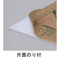 プラチナ万年筆　ハレパネ（R）ソラーズ　B1判（1100×800mm）　厚さ5mm　10枚  オリジナル